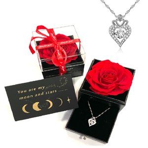 RED Preserved Real Rose W/ Silver Heart Necklace